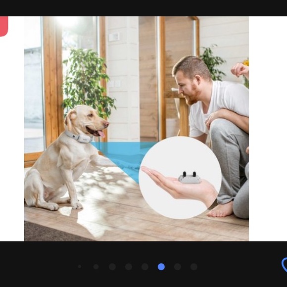 PAT PET REMOTE TRAINING COLLAR - GRAY - Picture 6 of 8